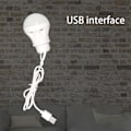 Miniatyrbild 4 av 5: USB LED Lampa Glödlampa Campinglykta med USB Laddningskabel för Inomhus Utomhus Camping Tält Ordinary