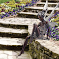 Miniatyrbillede 7 af 7: Siddende Fe Have Statue, 14 cm Udendørs Have Fe Statue Ornamenter, Engel Skulptur Realistisk Figurindretning