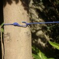 Miniatyrbilde 2 av 4: Bærbar elastisk reiseklessnor 12 klesklyper-Blå