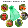 Miniatyrbilde 3 av 5: 100 stk. Beskyttelsespose i organza til grapefrukt - 15*20 cm - Svart