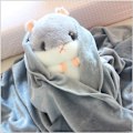 Pikkukuva 7 / 7: Pehmoinen hamsteri täytetty lelu peitto 19,7 tuumaa vaaleanruskea