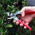Miniatyrbild 3 av 5: / Cancun/ Havana Rund Uppblåsbart Lock-XinHan [FW]
