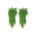 Miniatyrbild 1 av 5: Konstgjorda växter boston fern växter kaskad konstgjord växtvägg