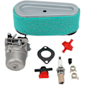 Miniatyrbild 1 av 5: Briggs & Stratton Lmt 5-4993 12,5 hk gräsklippar för åkgräsklippare