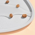 Miniatyrbild 6 av 7: Kattmatskålmatta 17,3 tum lång 9,8 tum bred mjuk halkfri silikon Spillfri husdjursmatningsmatta för hem inomhusgolv Grå
