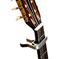 Miniatyrbild 3 av 3: Capo ST Grön. Snabbkopplings-gitarrkapo med triggerfunktion för alla elgitarrer och akustiska gitarrer, klassiska gitarrer, ukulele, banjo, mandolin, etc.
