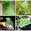 Miniatyrbild 4 av 5: 100 st buntskydds påse grapefrukt påse-20*30cm-citrongul