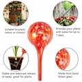 Miniatyrbilde 2 av 4: 4 stk fargerike vannkuler blomster vanning fra glass vanningsarm vannkuler små selvvanning blomsterpotter 6x15cm potteplanter