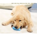 Pikkukuva 4 / 9: Doggystick - the smart toothbrush for dogs - Doggybrush
