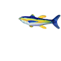 Miniatyrbillede 9 af 9: kattelegetøj Manuel airbag Twisting Fish Simulation Fish