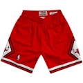 Pikkukuva 1 / 3: Lyhyt NBA Chicago Bulls 1997-98 Mitchell & Ness Swingman Punainen Miehille Flerfärgad jag