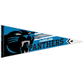 Pikkukuva 1 / 3: Huopafania - Wincraft - Carolina Panthers - 75x30 cm - Retrodesign - Seinäkyltti