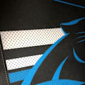 Pikkukuva 2 / 3: Huopafania - Wincraft - Carolina Panthers - 75x30 cm - Retrodesign - Seinäkyltti