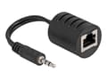 Delock Audio Adapter Black svart