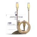 USB Typ C till USB Typ C-kabel (1 m / 3 fot) (AmpSentrix Infinity) (Guld) guld