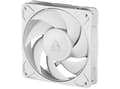 ARCTIC Freezer P12 Pro PST Computerkabinet Ventilator 12 cm vit 1 st vit