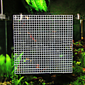 Miniatyrbilde 7 av 11: Aquarium Divider Plast Grid Isolation Board Light Diffuser Bunnfilterbrett White