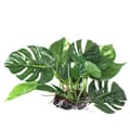 Akvarium Plast Växter Konstgjorda Växter Verklighetstrogna Simulering Gröna Växter