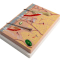 Miniatyrbillede 8 af 11: Anatomisk Hudmodel 3D Hud Læremidler Model, Menneskehud Anatomimodel Menneskehudstruktur Anatomisk model