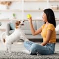 Miniatyrbild 7 av 7: Hundboll Leksak Smart Interaktiv Uppladdningsbar Automatisk Rullande Boll 2,2 Tum