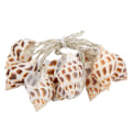 Miniatyrbild 1 av 8: Conch Shape LED String Lights - Batteridriven för inomhus/utomhus födelsedag bröllop - Varmt ljus
