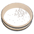 Miniatyrbillede 1 af 6: Maple Wave Ocean Drum - Musikinstrument percussion