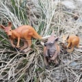 Miniatyrbilde 2 av 11: Kenguru Modellsett Barnas Simuleringsdyremodell Bursdagskakedekorasjon Kangaroo model three sets [0.096KG]]