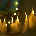 Miniatyrbild 5 av 5: Julgransgirlanger 2M 10 Led Fjäder Ljusslinga Bröllopsfest Dekoration Juldekorationer För Heminredning Default Title