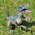 Miniatyrbild 4 av 7: Simuleringsdjurfigur för barn Realistisk Jurassic Dinosaurievärld Modell Leksak Raptor Födelsedagspresent För Pojkar Pedagogisk Raptor