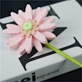 Miniatyrbillede 1 af 11: DIY Solsikker Tulipaner Roser Jasmin Planter Gypsophila Haver Romantiske Byggeklodser Klassisk Model Klodser Børnesæt Kits Legetøj Without Box10