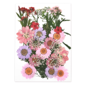 Miniatyrbilde 6 av 11: 1 pakke tørkede blomster harpiks naturlige blomster klistremerker tørr skjønnhetsdekal for DIY epoksyharpiks fylling smykker dekorasjon 31