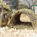 Miniatyrbillede 2 af 5: Græshus Tunnel Kaninhus Vævet Hytte til Lægning eller Sovning Spiselig Tyggested Hjem til Kaniner og Små Dy