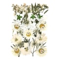 Miniatyrbilde 3 av 11: 1 pakke tørkede blomster harpiks naturlige blomster klistremerker tørr skjønnhetsdekal for DIY epoksyharpiks fylling smykker dekorasjon 10