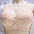 Miniatyrbild 2 av 4: Push Up BH Full Coverage Bygel BH Underkläder för Kvinnor Bralette Sexig Plus Size BH E F Kupa Pink 40F