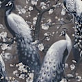 Miniatyrbillede 1 af 4: Erismann Peacock Sort Tapet