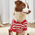 Miniatyrbilde 4 av 7: Stripete Kjæledyrklær Hundeklær Vår og Høst Cardigan Stripete Red L