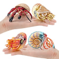 Miniatyrbillede 1 af 4: Simuleringsmodel af havdyr, eremitkrebs, nautilus, akvariumpynt, figurer, actionfigurer, børns pædagogiske legetøjsgave A