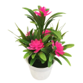 Miniatyrbillede 1 af 11: Kunstige planter Bonsai Træ Simulation Potteplanter Fake Blomster Bord Pottepynt Boligindretning Hotel Have C2 Pink