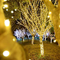 Miniatyrbillede 5 af 5: 10M 100 Lys Nytår Jul LED Guirlande Lys Juledekoration Lys til Hjemmet Feriedekoration Warm white