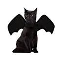 Miniatyrbild 4 av 5: Husdjurskläder Halloween Katt Hund Fladdermusvingar Förvandlingskläder Printed bat ordinary B06402 M
