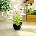 Miniatyrbillede 7 af 11: Mini Kunstig Sukkulent Plante Bonsai (Pot Inkluderet) Kreativ Dekoration Kunstig Blomst Yiwu Kunstig Plante Buddha lotus Green red core
