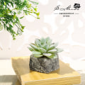 Pikkukuva 4 / 11: Pieni kiviruukku keinotekoinen mehikasvi ruukkukasvi (ruukku sisältyy) muoti kodin sisustus simulaatio kasvi keinotekoiset kukat Spiny aloe flocking Green