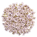 Miniatyrbilde 9 av 11: 50 stk. 2 cm Flerfargede Tusenfryd Blomsterhoder Mini Kunstige Silkeblomster for Krans Scrapbooking Hjem Bryllupsdekorasjon F11