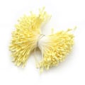 Miniatyrbilde 11 av 11: Hobbyartikler 144/420/600/1000 stk./Lot Blomster Pollenbærere 2mm DIY Kunstige Blomster Krans Til Bryllupsfest Hjemmeinnredning D0401 C7 Gray   420pcs