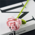 Miniatyrbillede 1 af 11: DIY Solsikker Tulipaner Roser Jasmin Planter Gypsophila Haver Romantiske Byggeklodser Klassisk Model Klodser Børnesæt Kits Legetøj Without Box12