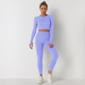 Pikkukuva 11 / 11: Eurooppalainen ja amerikkalainen neulottu yksivärinen saumaton pitkähihainen housupuku joogaan, urheiluun ja kuntoiluun, kaksiosainen setti 6095 long sleeve trousers suit-Black S