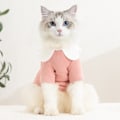 Pikkukuva 6 / 11: Kevät- ja syyslemmikkivaatteet kukkakauluksella, kissan vaatteet Pink M