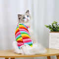 Miniatyrbild 5 av 8: Katt Steriliseringskläder efter Operation Fruktserie Fyr Säsonger Husdjurskläder Rainbow XL back length 40cm