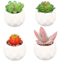 Miniatyrbilde 1 av 5: 4 potteplanter med form som potteplanter, kontordekorasjoner