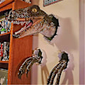 Miniatyrbilde 1 av 4: Nytt i Ornts - Velociraptor 3-delt Drak Resin Ornts Rotte Prop Hjem Rotter